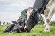 Partners in Farming Health