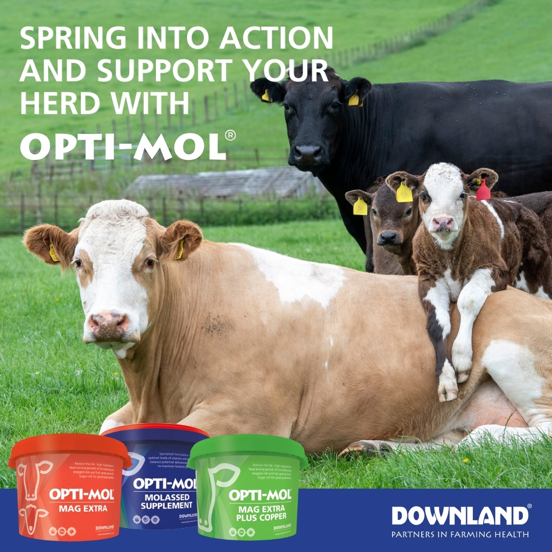Choosing the right OPTI-MOL Magnesium supplement | Downland - Partners ...