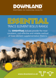 Essential Cattle Boluses Product Guide
